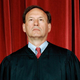 Image for article titled Lonesome Alito Declares Marriage Only Between A Man And The Sea